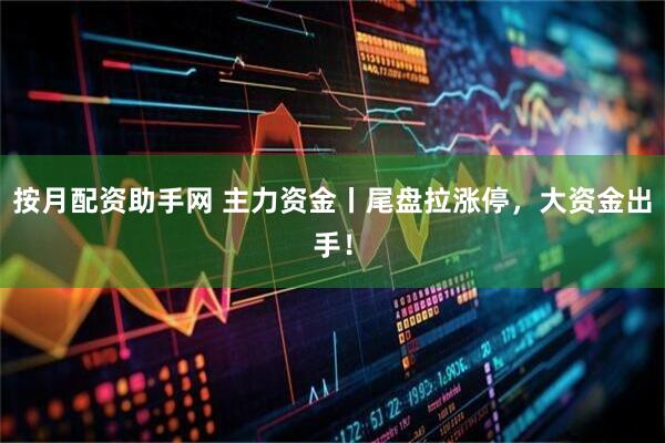 按月配资助手网 主力资金丨尾盘拉涨停，大资金出手！