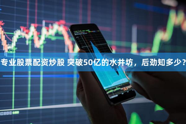 专业股票配资炒股 突破50亿的水井坊，后劲知多少？
