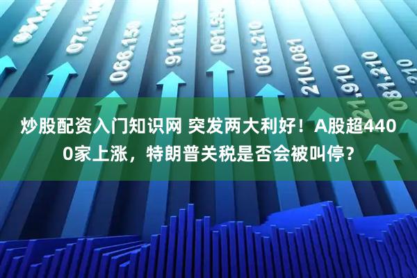 炒股配资入门知识网 突发两大利好！A股超4400家上涨，特朗普关税是否会被叫停？